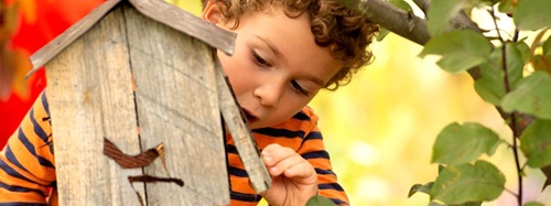 boy holding a bird house