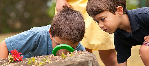 children playing outside