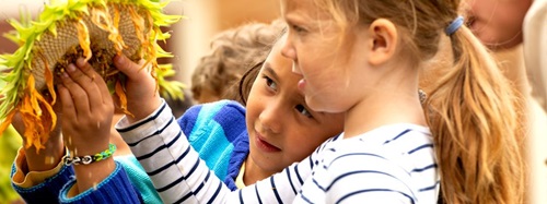 children playing with a sunflower