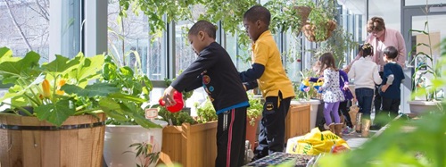 children gardening