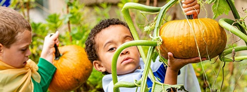 two boys with pumpkins