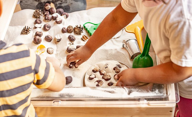 nature loose parts and sand in sensory table