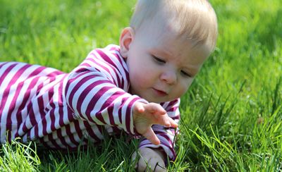 Babies and Nature