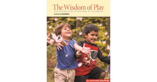 the wisdom of play book cover